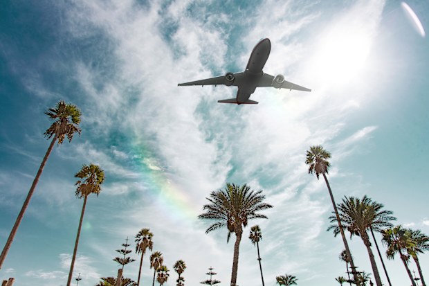 Plane flying above palm trees in blue skies
