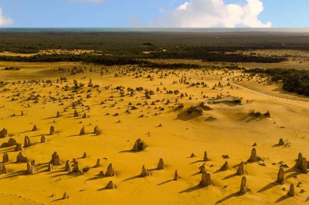 Pinnacles Nambung National Park