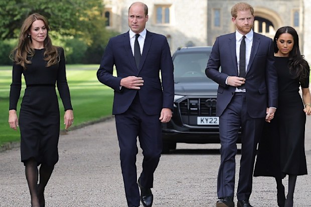 fab four floral tributes