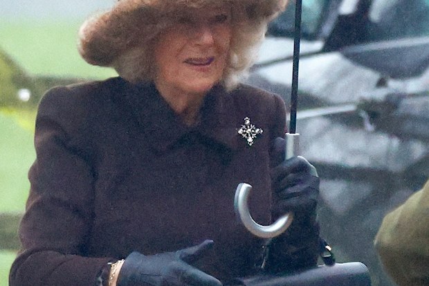 queen camilla wears brooch from late queen elizabeth's collection