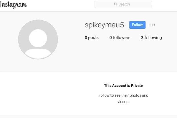 Prince Harry, fake Instagram account, finsta