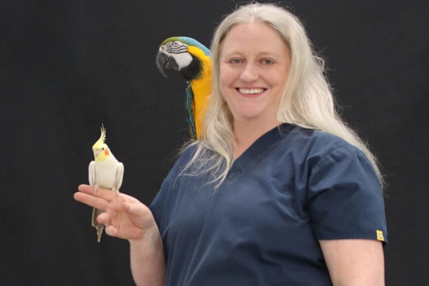 Bird trainer Mel Vincent with birds.
