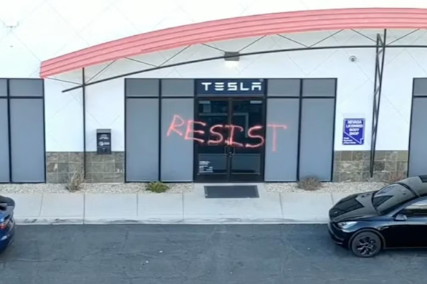 Tesla facility vandalised and cars set ablaze amid anti-Musk sentiment 