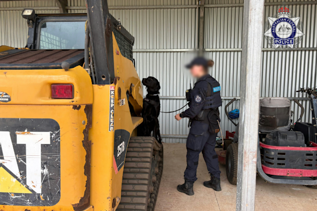 A government worker, his wife and directors of a building company have been charged with fraud and corruption offences.The trio from the Northern Territory are accused by the AFP of being involved in a conspiracy to influence the awarding of tenders to their company from the Department of Defence worth almost $71m.