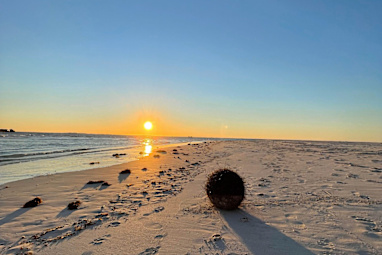 9. Lancelin 