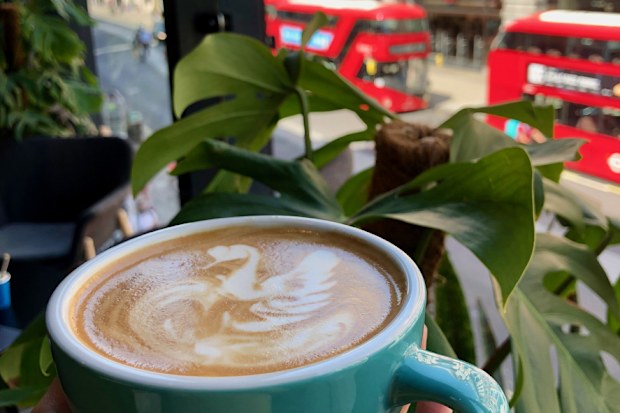 An oat milk latte decorated with a swan overlooks red buses and shops on London's Oxford Street