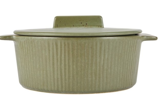 Kmart casserole dish 