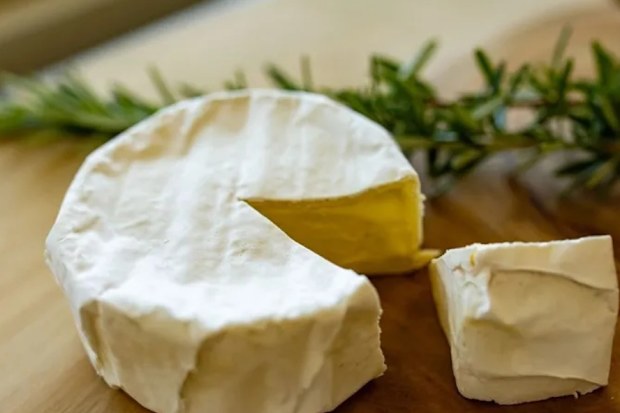 prom country cheese inverloch blue award