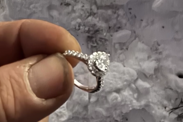 Couple's proposal fail as ring falls from bridge