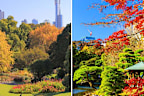 <p>It might be spring in Australia, but other parts of the world are seeing the leaves turn.</p><p>And while New England in the USA is one of the most famous places to experience autumn, or fall, as they call it, it didn't come out top in a recent survey.</p><p>Long haul travel firm, Travelbag analysed Instagram hashtag volumes and Google search data, to discover the most picturesque global autumn destinations to visit this year. </p><p>Here are the best places to go - including some aussie choices when the time comes. </p>