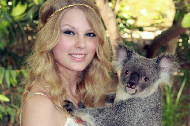 Taylor swift holding a koala