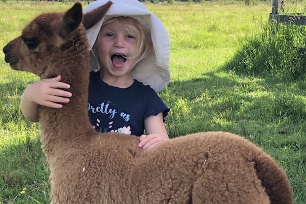 Iris Lodge Alpacas