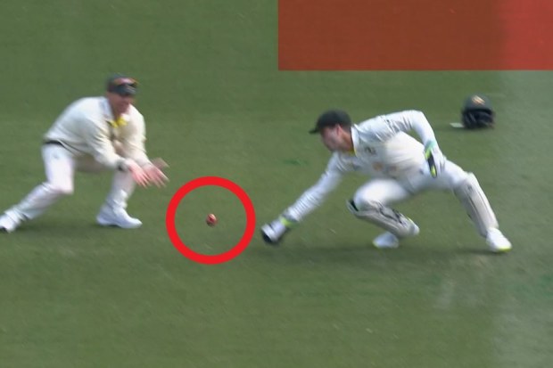David Warner and Alex Carey miss a chance.