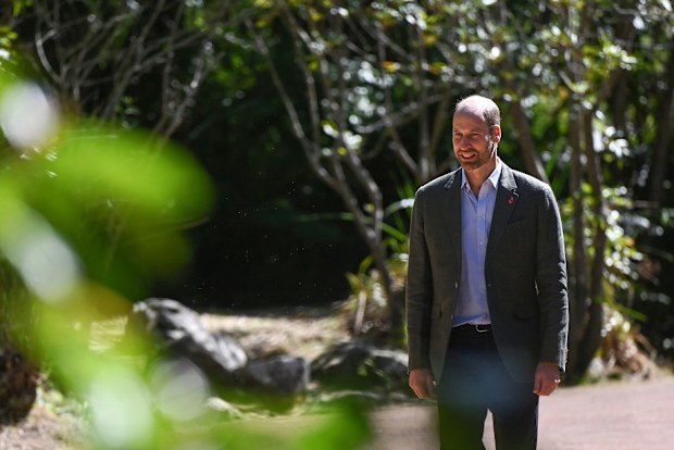 prince william south africa