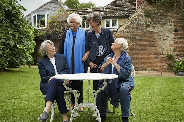 Judi Dench, Maggie Smith, Eileen Atkins, and Joan Plowright in Tea With the Dames (2018)