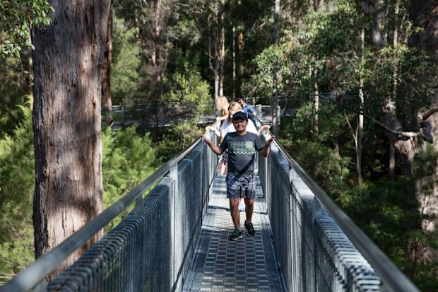 Valley of the Giants treetop walk. 