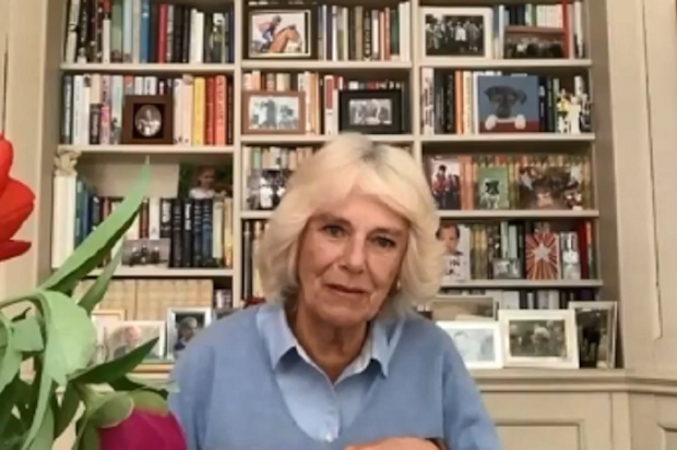 Camilla, the Duchess of Cornwall
