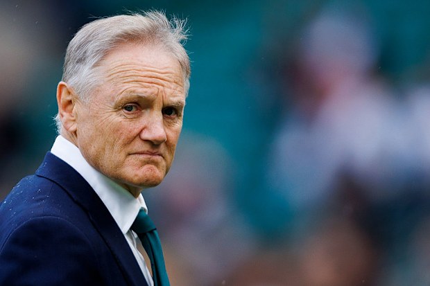 Joe Schmidt de Australia.