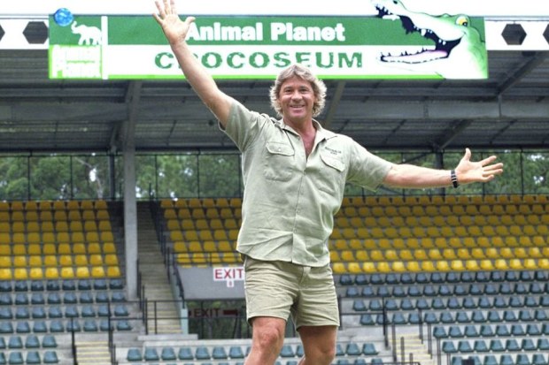 Steve Irwin