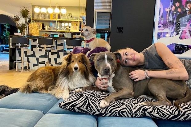 Miley Cyrus adopted a new dog named Angel.
