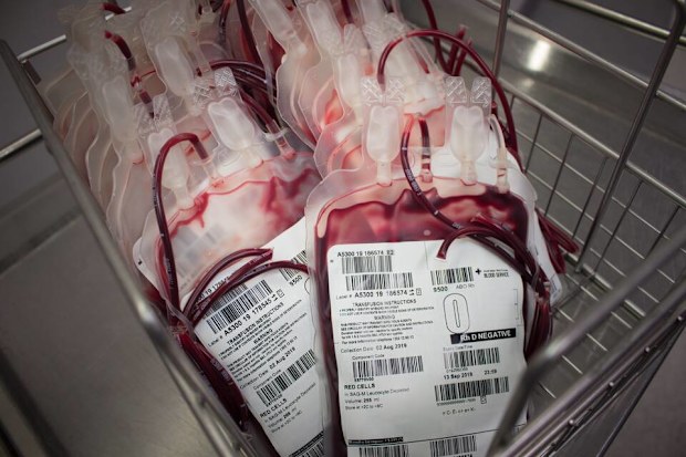 Blood donations Omicron