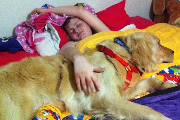 rett syndrome australian woman support animal petstock foundation smart pups