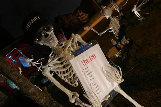 Stripper skeleton display for Halloween