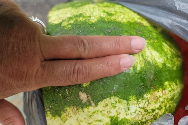 watermelon trick
