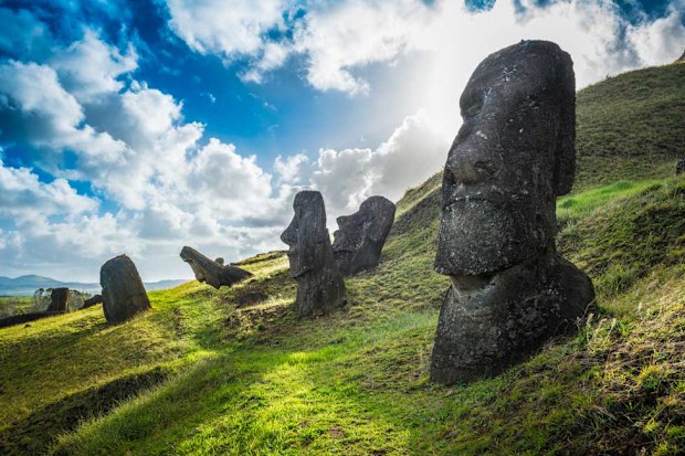The famous Moai statues stand at Rano Raraku on Easter Island, Chile. Their stone bodies are buried underneath the ground.