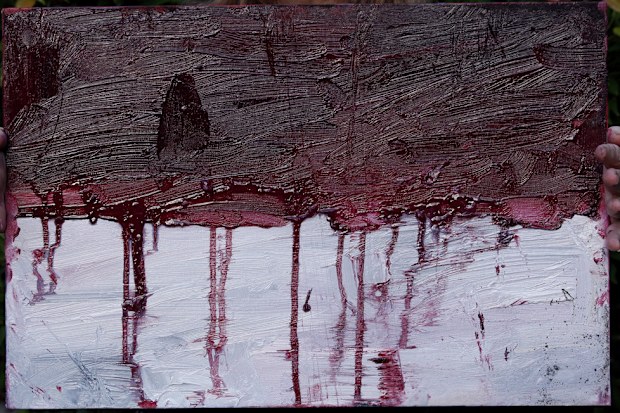 The Indonesian flag, with its red upper layer dripping like blood into the white layer below. ‘They asked for mercy, but there was none,’ Sukumaran’s family said hours after his death. (AAP)
