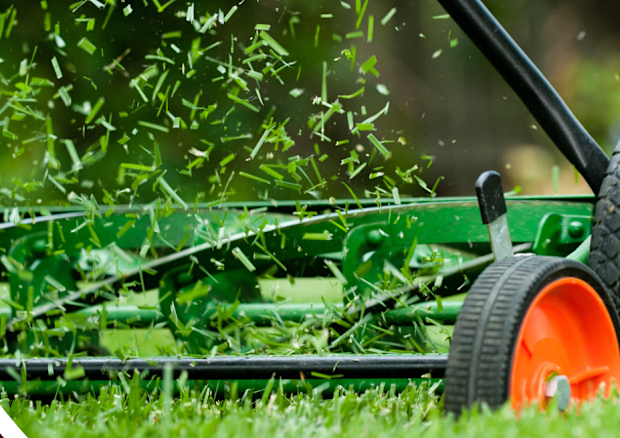 split image of greasy oven split with image of lawn mower and grass clippings