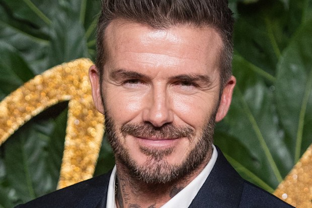 David Beckham, event, red carpet