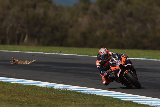 Jack Miller of Australia after hitting a hare at Phillip Island Grand Prix Circuit.