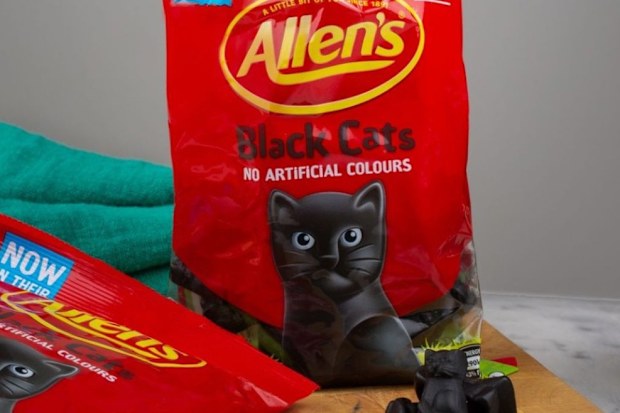 Allen's Black Cats