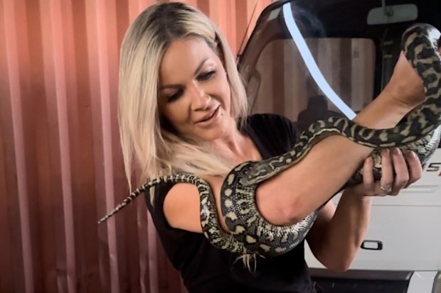 Courtenay Brown snake catcher