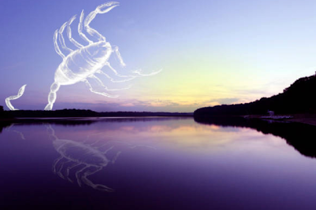 Scorpio star sign