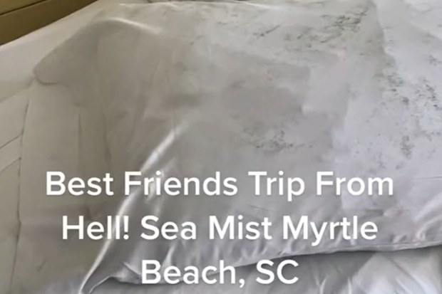 Mouldy pillow