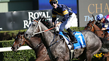 Not Supplied