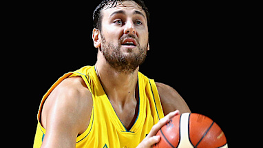 <strong>9. Andrew Bogut - $8.84 million</strong>