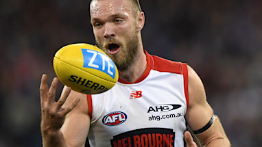 <strong>6. Melbourne Demons</strong>