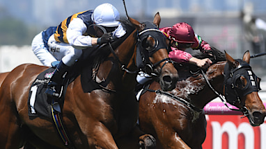 Stakes Day