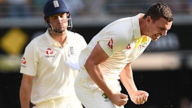 Josh Hazlewood - 8