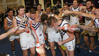 <strong>13. Fremantle Dockers</strong>
