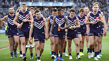 <strong>17. Fremantle</strong>