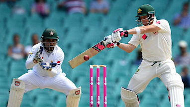 <strong>Steve Smith (captain)</strong>