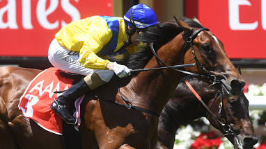Stakes Day