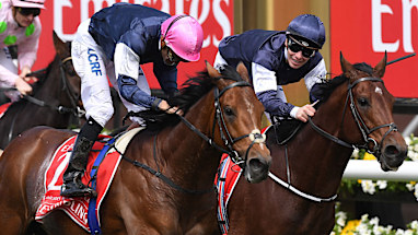 Rekindling edges Johannes Vermeer and Max Dynamite to give Corey Brown his second win at Melbourne Cup. He also finished first with Shocking in 2009.