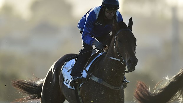 Almoonqith working at Flemington. (AAP)