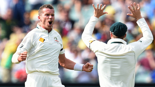 Peter Siddle celebrates a wicket against the West Indies. (AAP) 