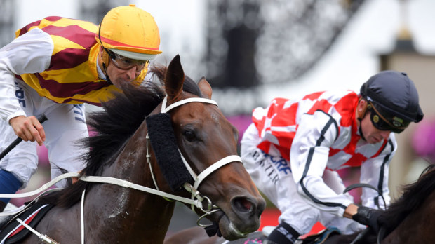 Hugh Bowman aboard Preferment (l) crosses the line with Awesome Rock. (AAP)